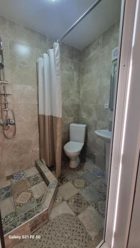 un baño con inodoro y ducha en Guest House Horizonti, en Signagi