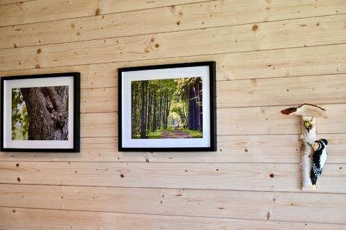 two framed pictures hanging on a wooden wall at Żubrowe Sioło - dom w naturze - najładniejsze widoki - nowość in Białowieża