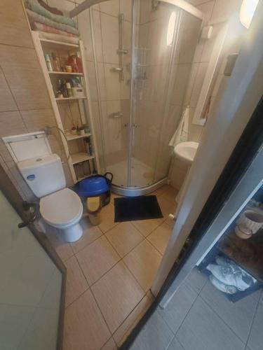 a bathroom with a shower and a toilet and a sink at Dorobanți Heights in Văleni