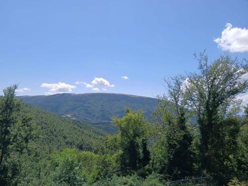 Φυσικό τοπίο κοντά σε αυτό το κατάλυμα σε φάρμα