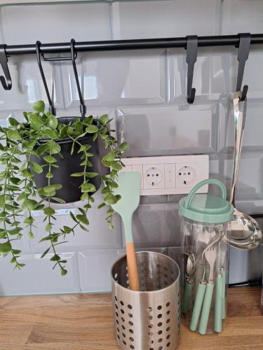 Cuisine ou kitchenette dans l'établissement Apartman Jedro Golubac