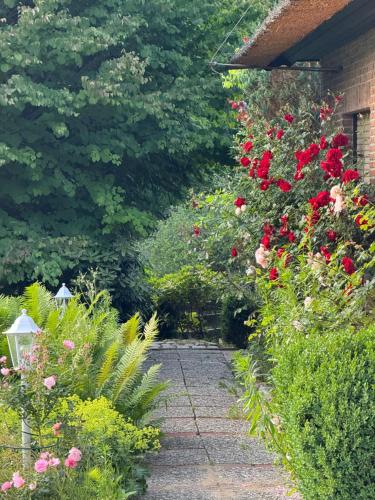 a garden with flowers and a stone pathway at AMAYA SUITES nahe Heide Park, Serengeti Park & A7 in Soltau