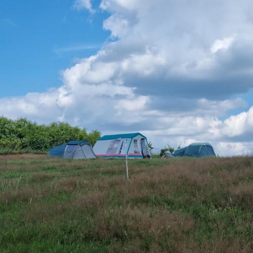 Uszate Ranczo Jagoda