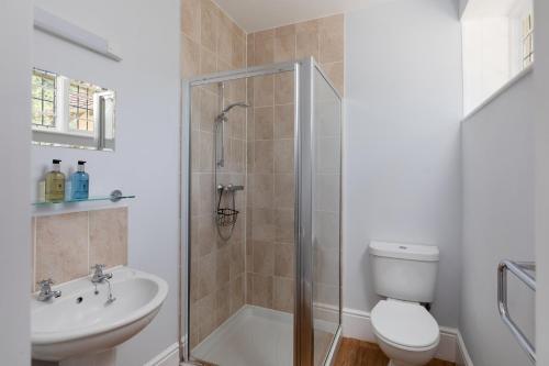 a bathroom with a shower and a toilet and a sink at The Hunters Inn in Martinhoe