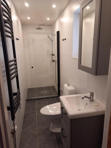 a bathroom with a toilet and a sink and a shower at Lilla Villa Svanö in Lunde