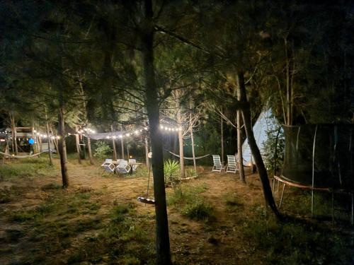 Zahrada ubytování Yuccasa - Small Glamping Camping & Studio's