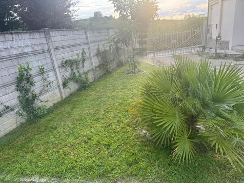 a yard with a fence and some plants at Casa Nada in Neive