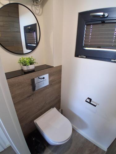 a bathroom with a toilet and a mirror at Domki Wilków z widokiem na Łysicę in Wilków