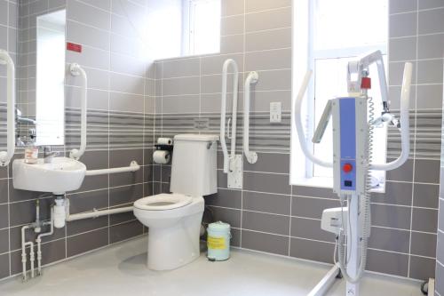 a bathroom with a toilet and a sink at Gwesty Seren Hotel in Blaenau-Ffestiniog