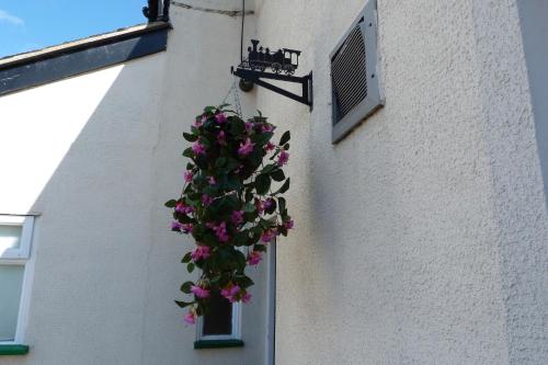 a hanging plant with pink flowers on the side of a building at Railway Inn in Culham