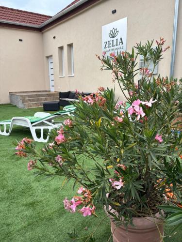 a potted plant with pink flowers in a yard at Zelia Apartmanház in Siófok