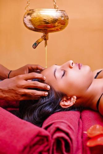 Επισκέπτες που μένουν στο Mahi Beach Ayurveda