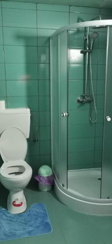 a bathroom with a toilet and a glass shower at Cabana Silvia in Gheorgheni