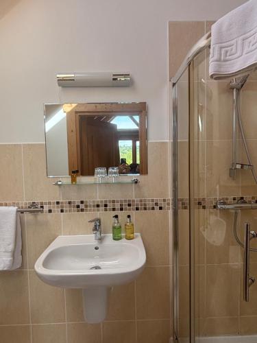 a bathroom with a sink and a shower at Pandy B&B in Dorstone