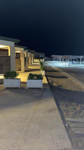 a row of buildings with plants in planters at night at Zuma Breeze Hotel in Mardakan