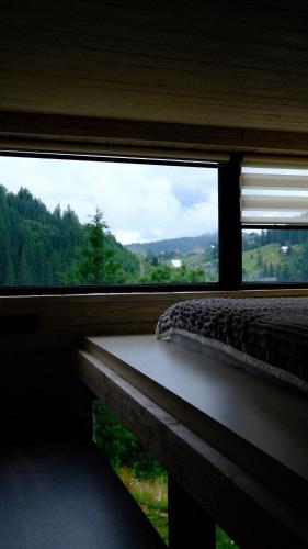 a bedroom with a window with a view of a mountain at Небокрай in Palyanytsya