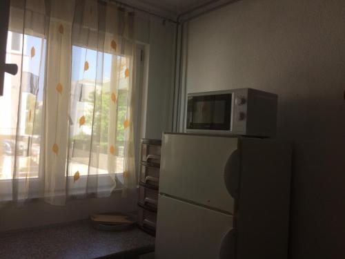 Apartment Argus