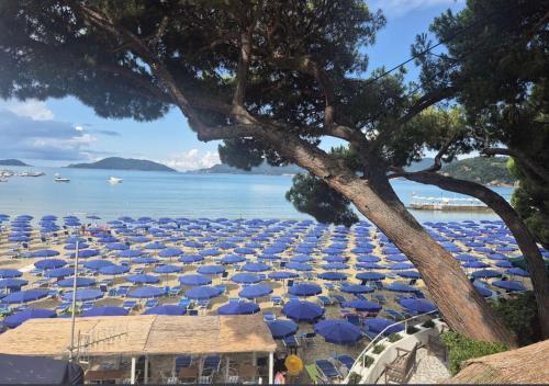 Φυσικό τοπίο κοντά σε αυτό το διαμέρισμα
