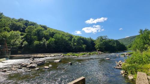 a river with rocks and trees on the side at Chalet LE LIRY in Tournavaux