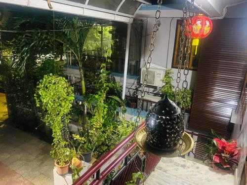 a balcony with a bunch of plants in a room at Homestay - Heaven Aumgarden in Trivandrum