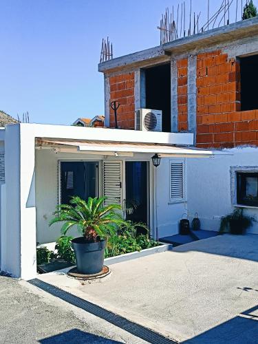 Studio Hajdi