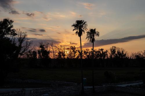 a sunset with two palm trees in a field at Masseria LOGGIA PUCCI in Torre Chianca