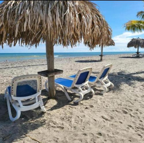 Playa en o cerca de del departamento