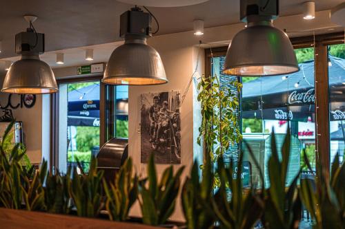 three pendant lights hanging above plants in a restaurant at Gucio - pokoje z restauracją Szczyrk in Szczyrk