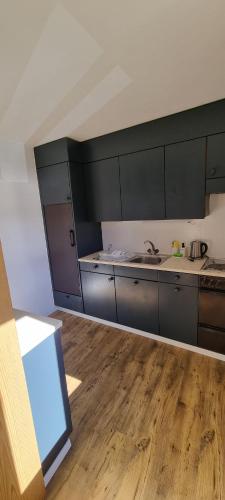 a kitchen with gray cabinets and a wooden floor at Chasa Rosa in Vna