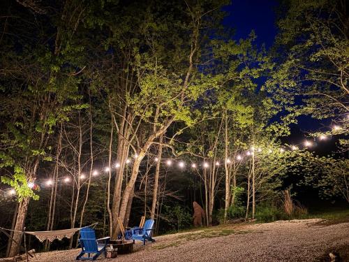 a string of lights hanging from trees at night at Humble Hippie in Rogers