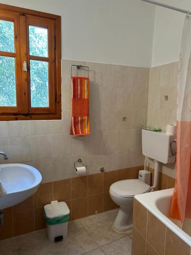 a bathroom with a white toilet and a sink at Ziras Traditional Villa in Áno Váthia