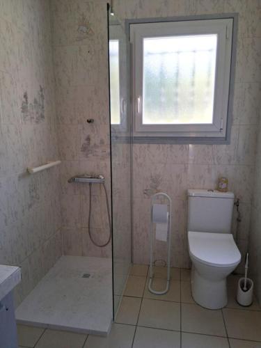 a bathroom with a shower and a toilet and a window at Gîte de balloche in Grenade-sur-lʼAdour