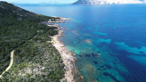 an aerial view of the shore of the ocean at Villa Caterina in Monte Petrosu