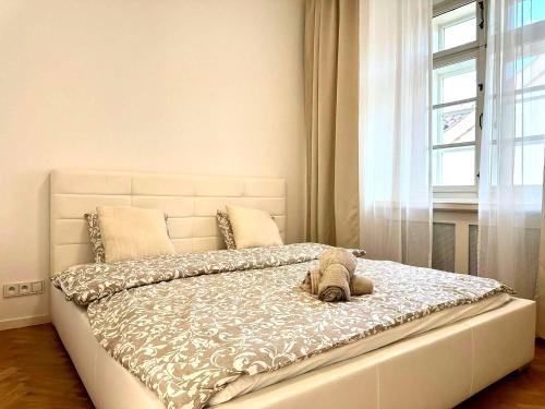 Awesome Apartment Charles Bridge