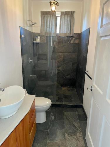 a bathroom with a shower and a toilet and a sink at Casa Verde in Uvita