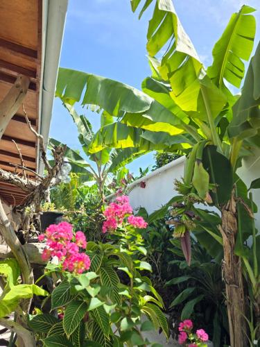 Κήπος έξω από το Veli garden thoddoo