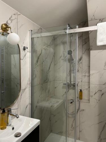 波兹南Le Cœur de la Ville的带玻璃门淋浴间的浴室