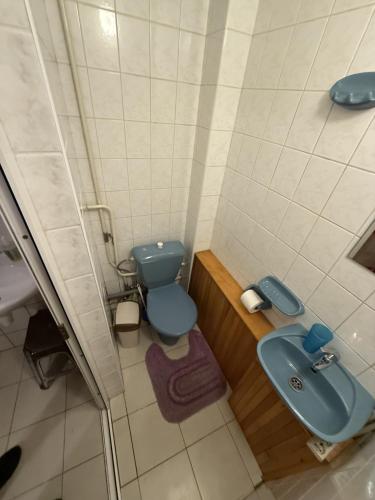 a bathroom with a blue toilet and a sink at Viršutinė 9 Pirtis in Klaipėda