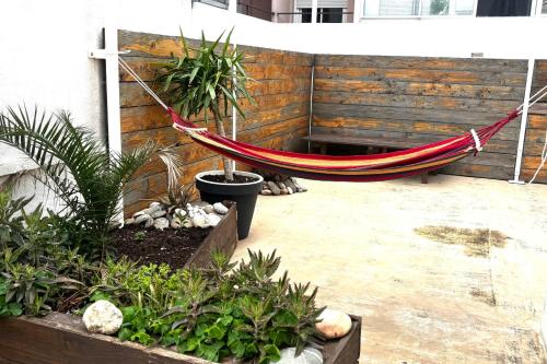 un hamac dans un patio avec un banc et des plantes dans l'établissement La Terrasse - Belle Terrasse - Wifi, à Perpignan