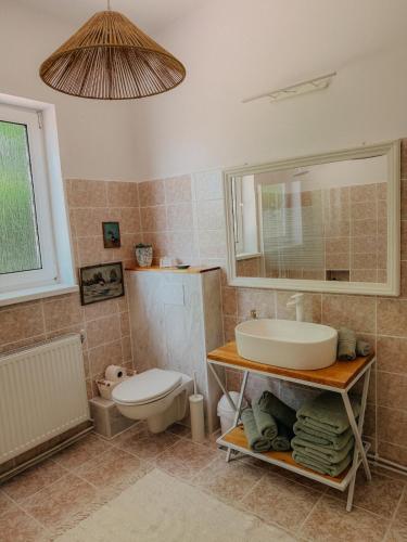 a bathroom with a sink and a toilet at Casa RusTic in Turda