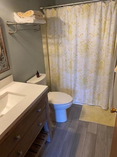 a bathroom with a toilet and a shower curtain at Oceanside, Single Family, Private Yard, Wifi, Washer Dryer, Ocean Side Home In Beach Haven 60092, in North Beach Haven