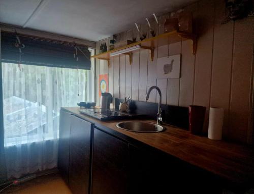 a kitchen counter with a sink and a window at Puķkalniñš in Ventspils