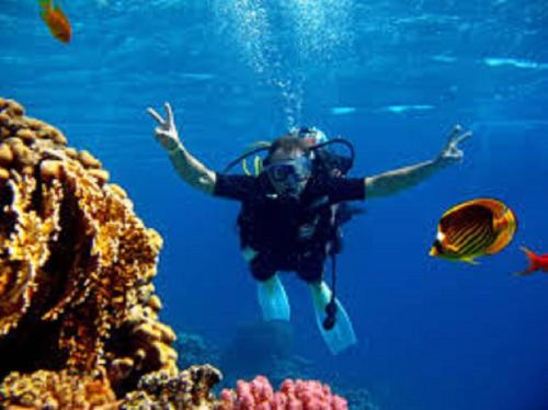 a person swimming in the water near a reef at Hotel Logis Au Moyne de Saire in Réville
