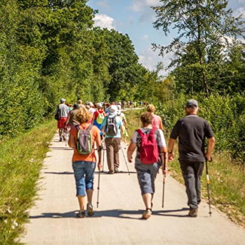 a group of people walking down a trail at Hotel Logis Au Moyne de Saire in Réville