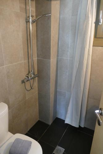 a bathroom with a shower with a toilet at Art Villa Pelion in Agria