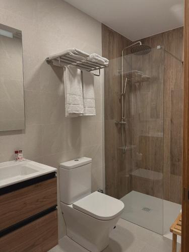 a bathroom with a shower and a toilet and a sink at El Balcón de Potes in Potes