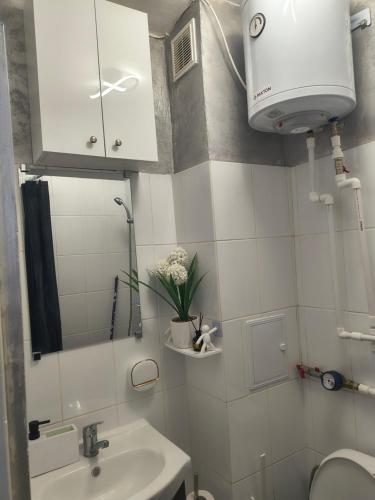 a small bathroom with a sink and a mirror at Home MARIA in Orşova