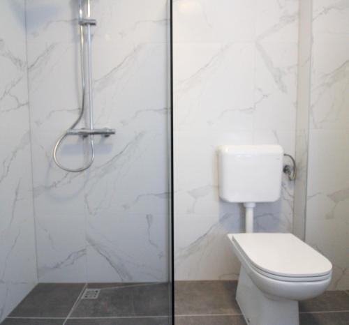 a bathroom with a toilet and a shower at Fly in Apartment in Čilipi
