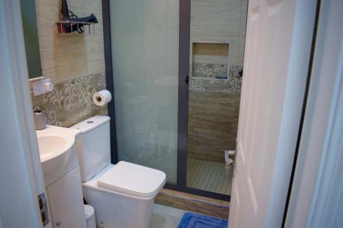 a bathroom with a toilet and a sink and a shower at Cozy Garden 5 Apartment F1 in Flic-en-Flac
