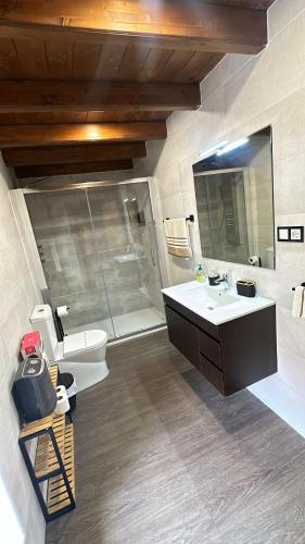 a bathroom with a sink and a toilet and a mirror at Los Janos de Argovejo in Argovejo